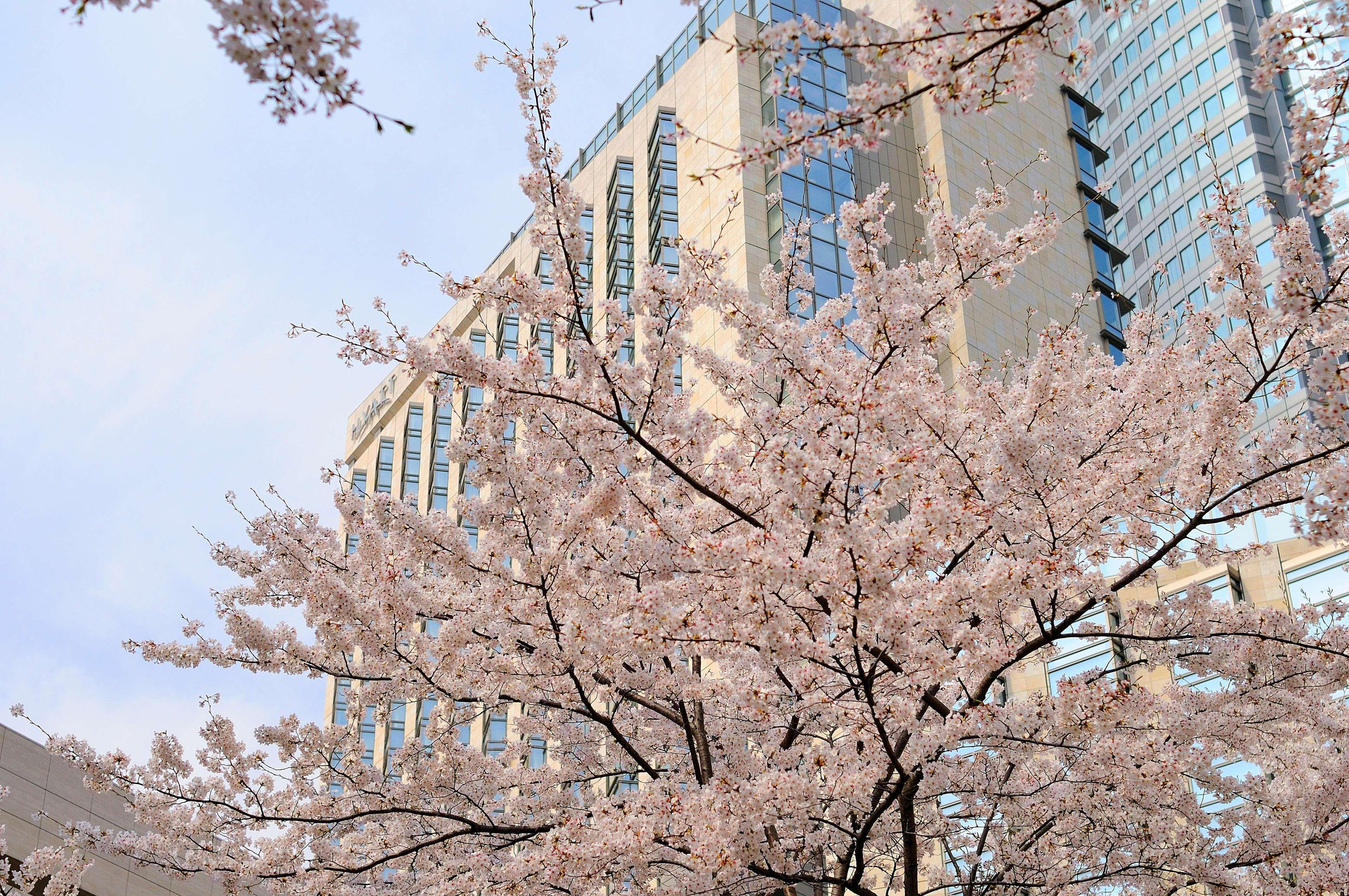 Hotel Grand Hyatt Tokyo Esterno foto